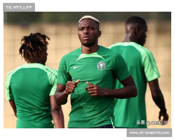 世界杯预选赛非洲区：加纳2-2尼日利亚，出线悬念留至末轮